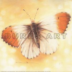 ARBEX ART DECOR srl > inramari tablouri, import postere arta, Baia Mare, MM, m212_49.jpg