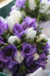 FLORARIA LALEAUA NEAGRA > livrari flori si aranjamente florale, nunti si evenimente speciale, Baia Mare, MM, m5110_14.jpg
