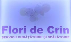 SPALATORIA SI CURATATORIA chimica FLORI de CRIN - vizavi de CATEDRALA, Baia Mare, MM, m5670_8.jpg